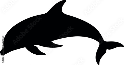 Black dolphin leaping silhouette white