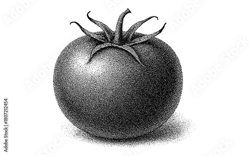 Detailed pointillism tomato with shadow on white background