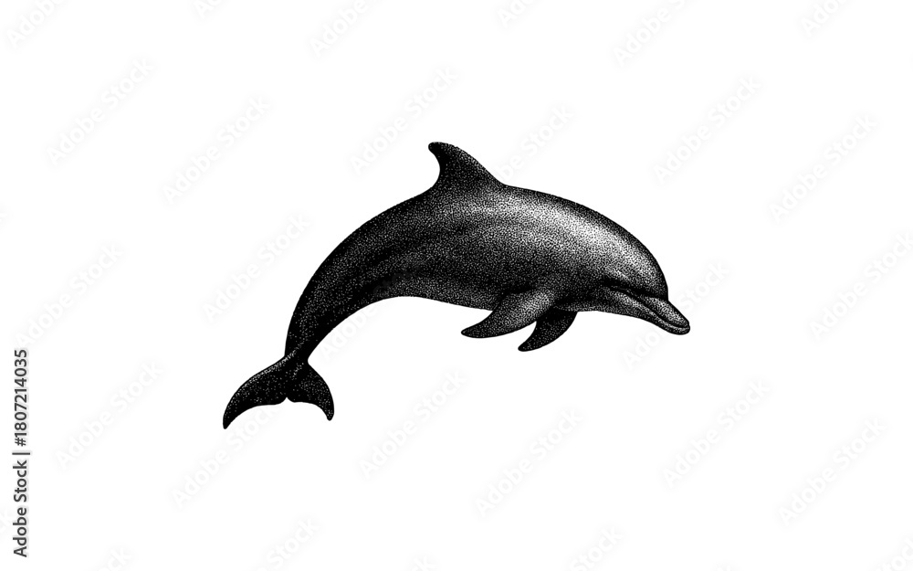 Fototapeta premium Stippled dolphin design in monochrome for ocean-themed art and decor