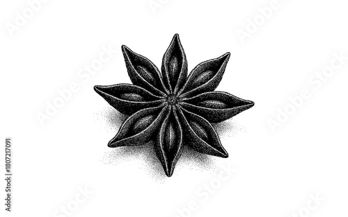 Hand-drawn star anise botanical art with detailed stipple technique