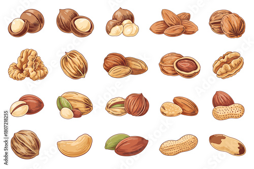 Assortment of Healthy and Delicious Nuts including Almonds Walnuts Macadamia Pecans Hazelnuts Pistachios and Peanuts ideal for Snacks