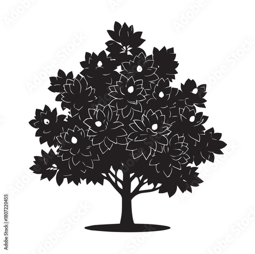 "Mississippi Southern Magnolia"