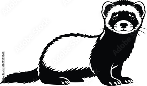 Stylized ferret vector illustration with detailed features, isolated on white Vector