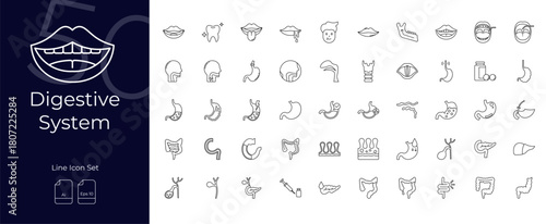 Digestive System Line Editable Icons set