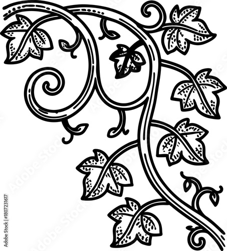 Decorative ivy vine corner border design black and white ornate botanical leaf ornament, elegant vintage flourish