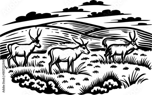 Antelope grazing in open grasslands with rolling hills and clouds, wildlife nature scenery illustration