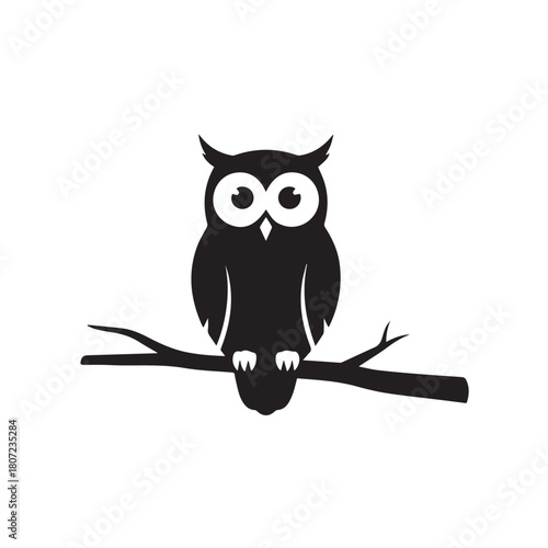 owl perched, staring at the camera, on white background