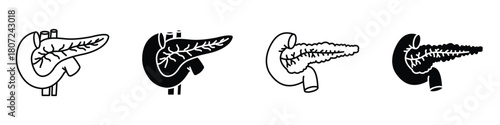 pancreas icon in linear and clipart style pack on white background.