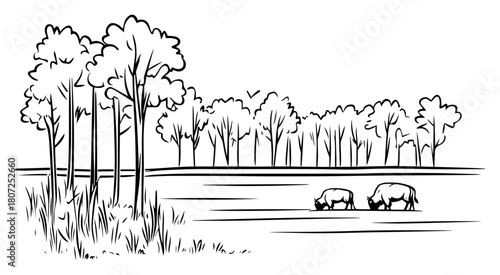 Countryside wetland meadow with grazing pigs – pastoral farmland landscape ink drawing