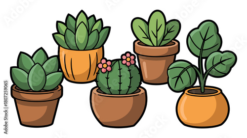 A collection of potted houseplants, including succulents and a cactus, are arranged together on a white background.