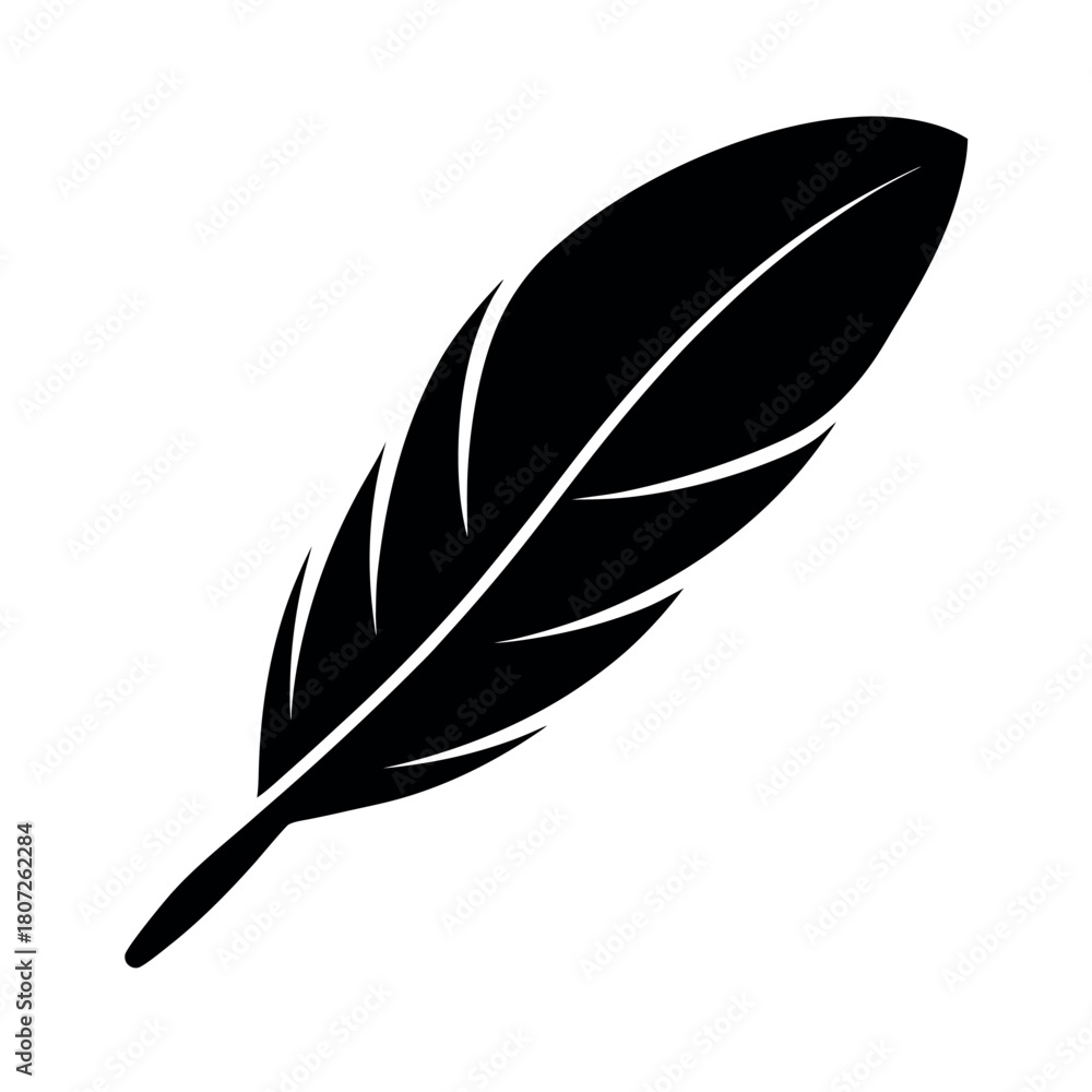 Obraz premium Minimal Feather Vector Illustration