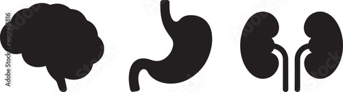 Three black silhouette icons of human organs brain stomach kidneys vector illustration