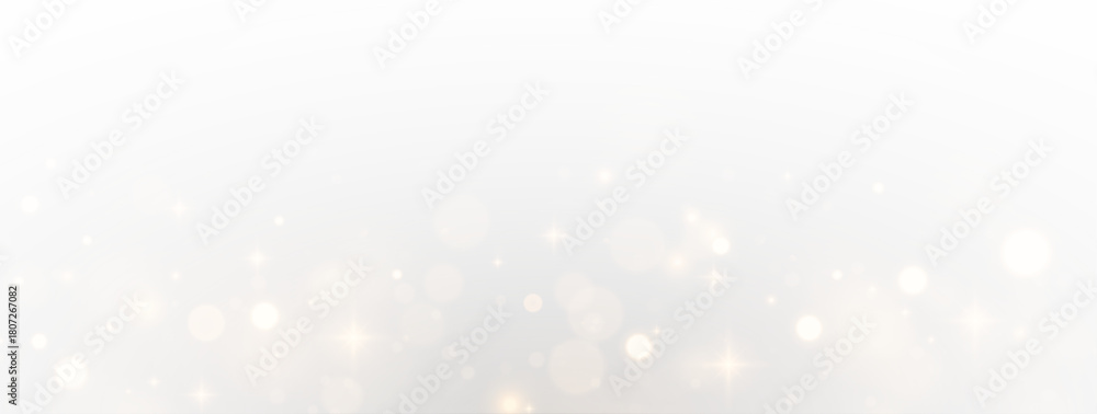 Fototapeta premium Shiny Flare Overlay