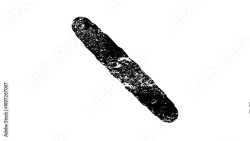 High-contrast black and white microscopic view of a single rod-shaped bacillus bacterium isolated on a white background.