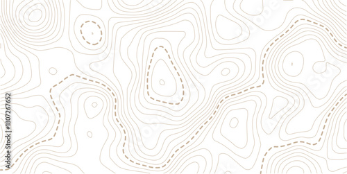 abstract wavy background. topographic contour background. Topography background. Vector banner. 