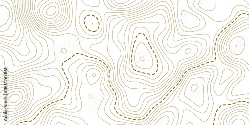 abstract wavy background. topographic contour background. Topography background. Vector banner. 