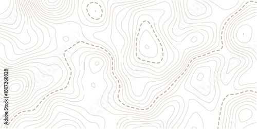 abstract wavy background. topographic contour background. Topography background. Vector banner. 