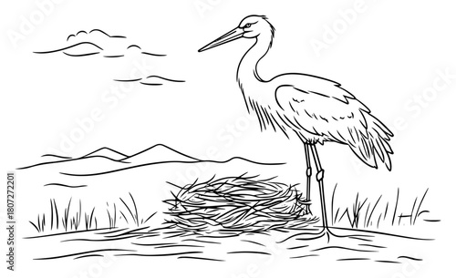 Stork standing beside nest in marshland with distant mountains – elegant wading bird wildlife line illustration