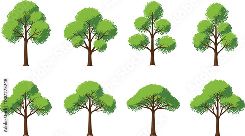 Set of eight green deciduous trees vector illustration isolated on white background for nature landscape