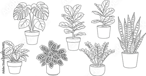 Detailed Black Outline Set of Seven Popular Indoor Houseplants: Monstera, Fiddle-Leaf Fig, Prayer Plant, and Snake Plant, Perfect for Coloring Book Design