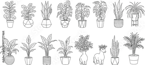 Large Black and White Outline Set of 14 Popular Indoor Houseplants: Fiddle-Leaf Fig, Monstera, Snake Plants, and Palms in Stylish Decorative Pots for Design