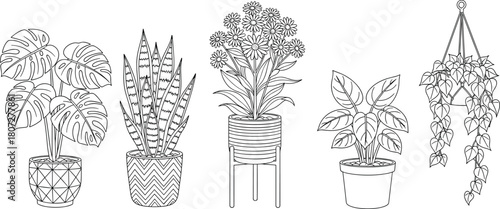 Black and White Outline of Five Popular Indoor Houseplants: Monstera, Snake Plant, Flowering Pot Mum, Chinese Evergreen, and Trailing Heart-Leaf Philodendron for Coloring Book Page or Minimalist Print