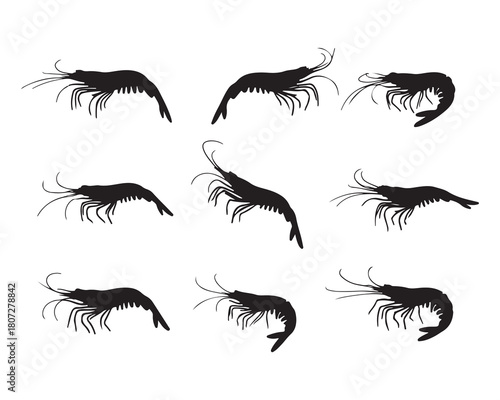 Shrimp Vector Graphic Design