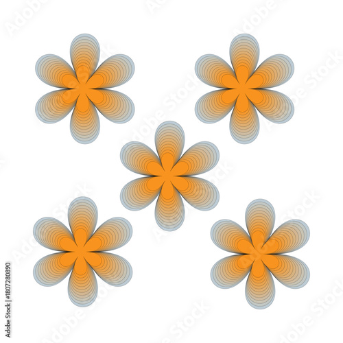 frangipani flower isolated on white background