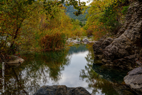 Still creek pool framed by autumn foliage