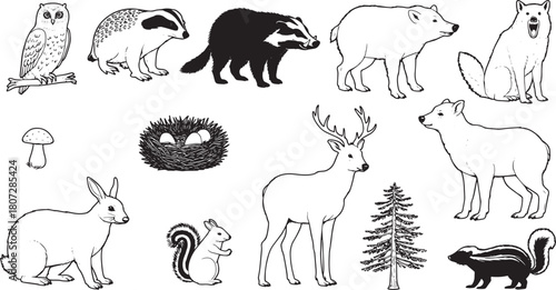 Collection of forest animals in black and white isolated on