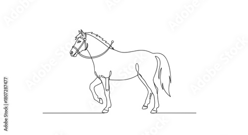 Line drawing of a horse walking on a simple background  