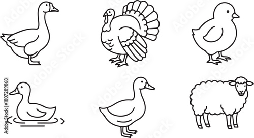 Cute farm animal line art collection duck turkey chick sheep icons outline
