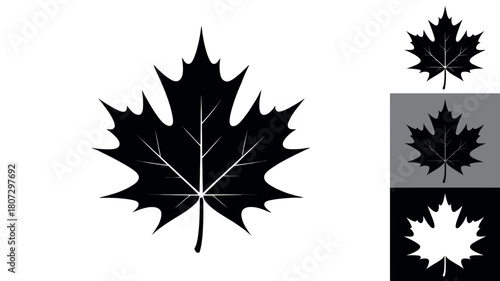 A bold black silhouette of a maple leaf is displayed prominently on a white background, with smaller variations of the same leaf shown in different grey and black tones on the right side of the