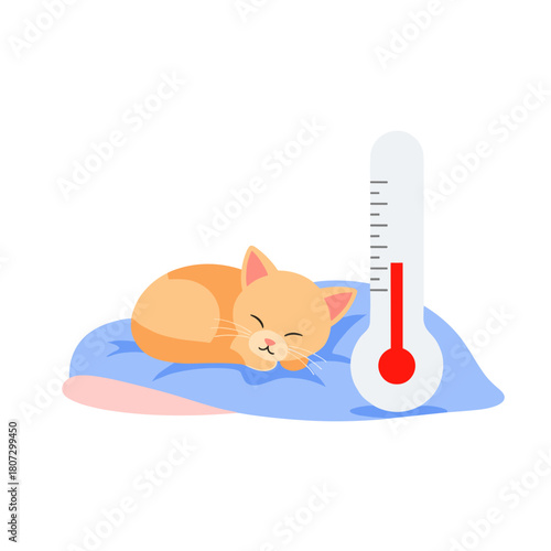 Sleepy orange kitten resting on blanket next to thermometer concept of medicine  