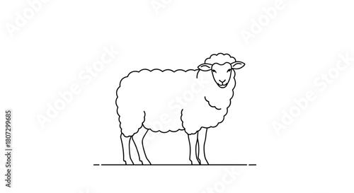 A simple black line art animation of a sheep standing still and blinking its eyes in a minimalist and clean looping video.