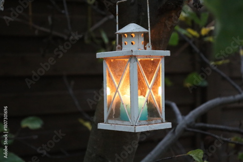 Mysterious lantern in the forest.