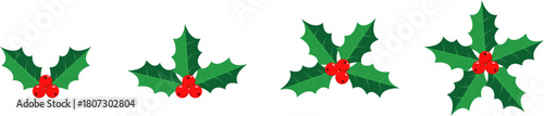 Four festive holly sprigs with red berries on a white background
