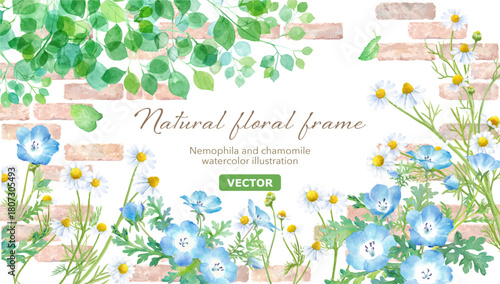 レンガ壁を背景にした、ネモフィラとカモミールの水彩イラスト。春のナチュラル 装飾フレーム。（ベクター。レイアウト変更可能） 