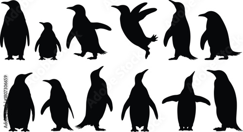 Penguin silhouette collection featuring walking, standing, and swimming poses, black wildlife vector illustrations for nature design, Antarctic bird graphic set