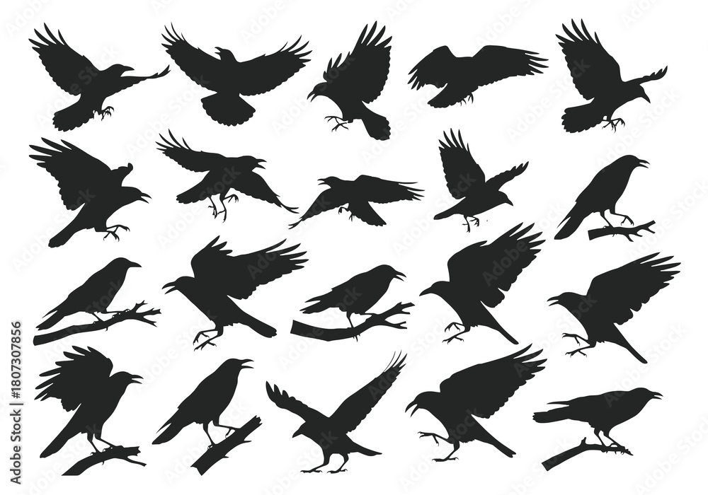 Obraz premium A collection of black silhouettes depicting crows in various flight poses
