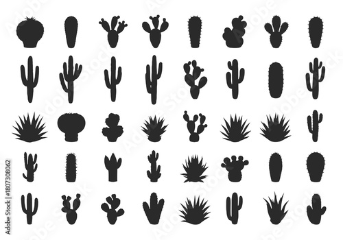Variety of black silhouette cacti and desert plants arranged in rows
