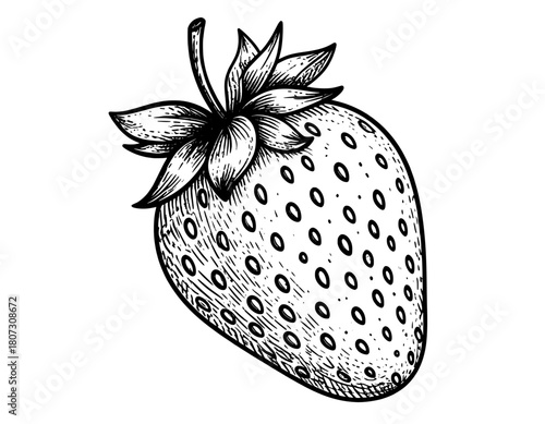 vector illustration of a strawberry