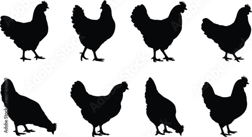 Chicken silhouettes collection, farm animal vector set, black hen shapes for agriculture design, poultry icons, livestock graphic illustration