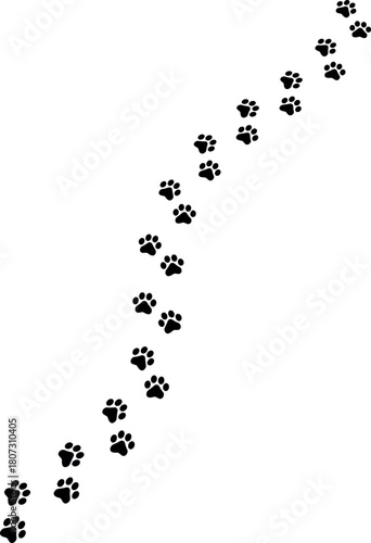 Paw Prints. Cute pets and Dogs pets paw print isolated on white background. Animal paw prints.