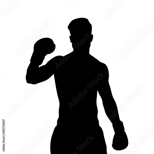Silhouette of boxer punching with gloves against a white background