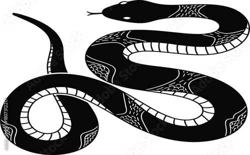 Black snake vector illustration, stylized reptile silhouette with white details, dangerous serpent design for tattoo or logo, isolated wild animal art