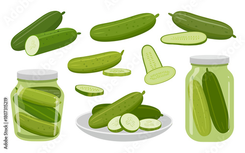Fresh and pickled cucumbers, slices, and gherkins vector collection