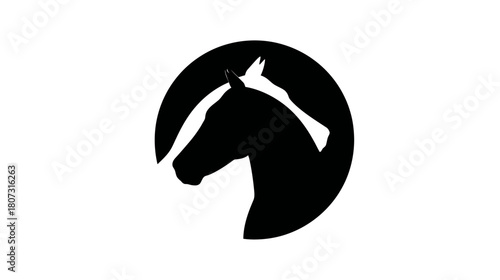 Modern Two Horse Heads Silhouette in Circle Logo Design. Black and White Equine Graphic Icon. Animal Symbol Vector Art.