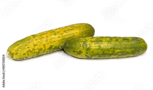 Wilted Cucumbers - Spoiled Produce, Decay, Edible Waste, and Kitchen Hygiene