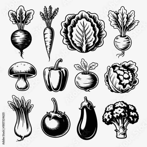 Artistic Collection of Vegetables: a collection of artistically rendered drawings showcases a variety of fresh vegetables, meticulously illustrated with intricate detail.